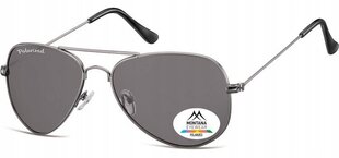 Мужские солнцезащитные очки UV Polarised Pilot Sunglasses Men's + Gratis MP94 цена и информация | Женские солнцезащитные очки | kaup24.ee