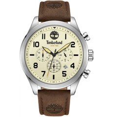 Timberland Ashmont TDWGF0009703 TDWGF0009703 цена и информация | Мужские часы | kaup24.ee