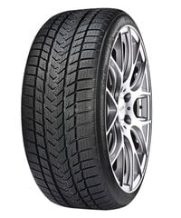 GRIPMAX Suregrip Pro Winter 285/40R23 111V XL цена и информация | Зимняя резина | kaup24.ee