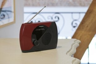 Thomson RT353 - портативное FM-радио цена и информация | Радиоприемники и будильники | kaup24.ee