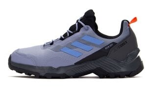 Ботинки Adidas Terrex Eastrail 2 R.RDY HP8604, фиолетовые, размер 44 HP8604_44 цена и информация | Мужские ботинки | kaup24.ee