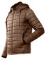 Tepitud meeste jakid firmalt Pantoneclo - NYLN-004C (Coffee Brown) hind ja info | Meeste joped | kaup24.ee