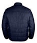 Tepitud meeste jakid firmalt Pantoneclo - NYLN-015 (Peacoat blue) hind ja info | Meeste joped | kaup24.ee