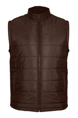 Pantoneclo meeste vest - NYLN-017 (Chicory Coffee) hind ja info | Meeste vestid | kaup24.ee