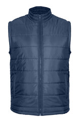 Pantoneclo meeste vest - NYLN-017 (Ensign Blue) цена и информация | Мужские жилетки | kaup24.ee