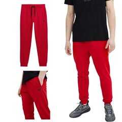 Sweatpants 4F красные, размер L 4FSS23TTROM223_CZERWONY_L цена и информация | Мужские брюки | kaup24.ee