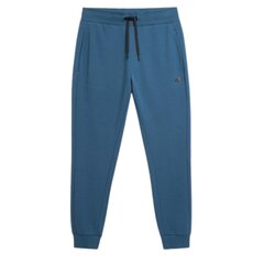 Спортивные мужские джоггеры 4F DENIM, р. М 4FAW23TTROM45132S_M цена и информация | Мужские брюки | kaup24.ee