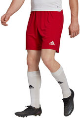 Adidas Шорты Entrada 22 Red H61735 H61735/2XL цена и информация | Мужские шорты | kaup24.ee