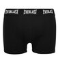 Boxersortsid meestele Everlast Cotton 4 tükki AW24_EV004_XXL цена и информация | Meeste aluspesu | kaup24.ee