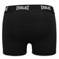 Boxersortsid meestele Everlast Cotton 4 tükki AW24_EV004_XXL цена и информация | Meeste aluspesu | kaup24.ee