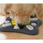 Interaktiivsete funktsioonidega mänguasi koertele Rivex hind ja info | Mänguasjad koertele | kaup24.ee