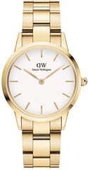 Daniel Wellington Ikooniline link 32 kuldne valge DW00100565 hind ja info | Naiste käekellad | kaup24.ee