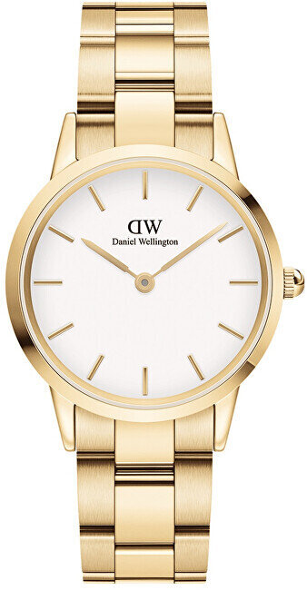 Daniel Wellington Ikooniline link 32 kuldne valge DW00100565 цена и информация | Naiste käekellad | kaup24.ee