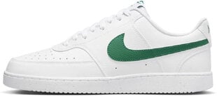 Nike Обувь Nike Court Vision Lo Nn White Green DH2987 111 DH2987 111/7.5 цена и информация | Кроссовки для мужчин | kaup24.ee