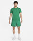 Nike T-Särgid M Nsw Club Tee Green AR4997 365 AR4997 365/L hind ja info | Meeste T-särgid | kaup24.ee