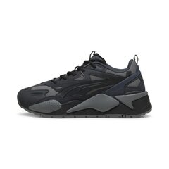 Cпортивная обувь PUMA RS-X Efekt PRM 390776214099686317591 цена и информация | Кроссовки для мужчин | kaup24.ee