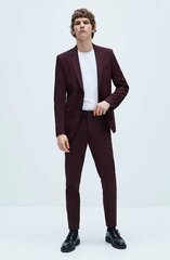 Meeste püksid Zara 1564/401/606 L цена и информация | Мужские брюки | kaup24.ee