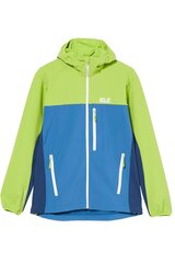 Meeste jope Jack Wolfskin 1306691-1130007 3XL цена и информация | Мужские куртки | kaup24.ee