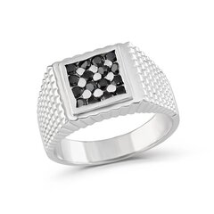 Серебряное (925) кольцо с драгоценными камнями, код ah5sr1400, EU-67 (~21,25 мм) AH5SR1400EU-67 цена и информация | Кольцо | kaup24.ee