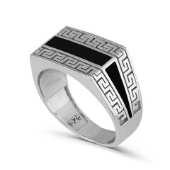 Серебряное (925) кольцо с классическим дизайном, код ah5sr5778, EU-61 (~19,5 мм) AH5SR5778EU-61 цена и информация | Кольцо | kaup24.ee