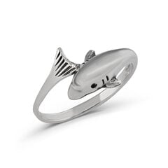 Серебряное (925) кольцо с классическим дизайном, код ah5sr5384, EU-53.5 (~17 мм) AH5SR5384EU-53.5 цена и информация | Кольцо | kaup24.ee