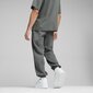 Püksid PUMA CLASSICS+ Sweatpants 624276804099685486427 цена и информация | Meeste spordiriided | kaup24.ee