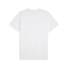 Футболка PUMA GRAPHIC TEE TRAIN 524289574099685559206 цена и информация | Мужская спортивная одежда | kaup24.ee