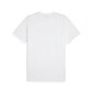 T-särk PUMA GRAPHIC TEE TRAIN 524289574099685559206 цена и информация | Meeste spordiriided | kaup24.ee