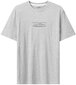 Glo Story T-Särgid Grey MPO 3546/GREY MPO 3546/GREY/XL hind ja info | Meeste T-särgid | kaup24.ee