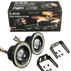 LED tuled MotoLEDy hind ja info | Autotuled | kaup24.ee