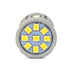 LED-lamp MotoLEDy 3157 hind ja info | Autopirnid | kaup24.ee