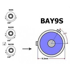 H21W LED BAY9S 12-18V CANBUS 800lm võimas lamp, 1 tk. hind ja info | Autopirnid | kaup24.ee