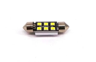 C5W LED SV8.5 12-24V Canbus, 36mm 220lm, 1 tk. hind ja info | Autopirnid | kaup24.ee