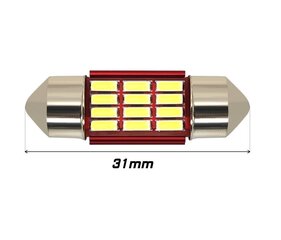 C3W, C5W LED-pirn SV8.5 12V canbus, 31mm 180lm, 1 tk. hind ja info | Autopirnid | kaup24.ee