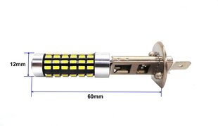 H1 Светодиод 12V-24V CANBUS 1200lm цена и информация | Автомобильные лампочки | kaup24.ee