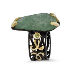 Серебряное (925) кольцо с драгоценными камнями, код f50357, EU-58 (~18,5 мм) F50357EU-58 цена и информация | Кольцо | kaup24.ee