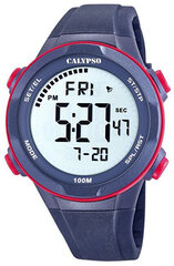Calypso цена и информация | Мужские часы | kaup24.ee