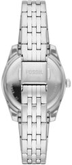 Часы Fossil FS4835IE цена и информация | Женские часы | kaup24.ee