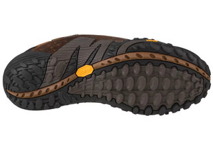 buty trekkingowe męskie Merrell Intercept J73705 hind ja info | Meeste kingad, saapad | kaup24.ee