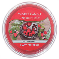 Ароматическая свеча Yankee Candle Red Raspberry Scenterpiece Easy MeltCup, 61 г цена и информация | Подсвечники, свечи | kaup24.ee