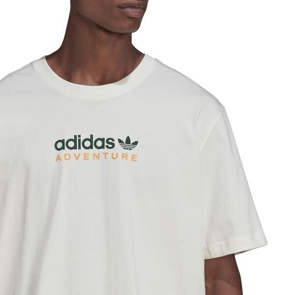 Adv mtn spr tee adidas originals meestele white hf4773 HF4773 цена и информация | Meeste T-särgid | kaup24.ee