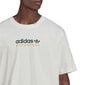 Adv mtn spr tee adidas originals meestele white hf4773 HF4773 цена и информация | Meeste T-särgid | kaup24.ee