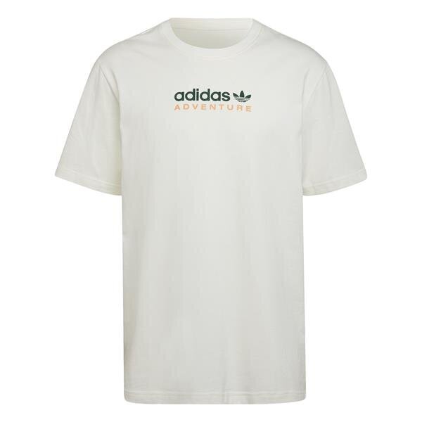 Adv mtn spr tee adidas originals meestele white hf4773 HF4773 цена и информация | Meeste T-särgid | kaup24.ee