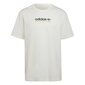 Adv mtn spr tee adidas originals meestele white hf4773 HF4773 цена и информация | Meeste T-särgid | kaup24.ee