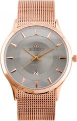 Bisset MEN&#39;S WATCH BSDE47 (zb051e) rose gold / gray BSDE47RIVX03BX цена и информация | Мужские часы | kaup24.ee