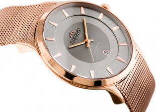 Bisset MEN&#39;S WATCH BSDE47 (zb051e) rose gold / gray BSDE47RIVX03BX hind ja info | Meeste käekellad | kaup24.ee