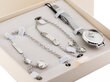 Daniel Klein WATCH DK13022-1 gift set (zl515a) DK13022-1 цена и информация | Naiste käekellad | kaup24.ee