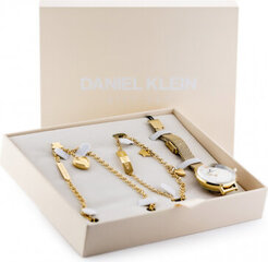 Daniel Klein WATCH DK13022-3 gift set (zl515c) DK13022-3 цена и информация | Женские часы | kaup24.ee