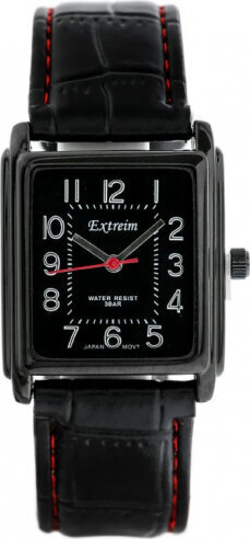 Extreim WOMEN&#39;S WATCH EXT-Y018A-1A (zx660a) EXT-Y018A-1A hind ja info | Naiste käekellad | kaup24.ee