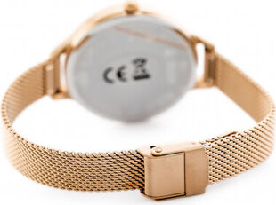 G. Rossi WATCH - G.R10296B5-4D2 (zg871d) + BOX G.R10296B5-4D2 hind ja info | Naiste käekellad | kaup24.ee